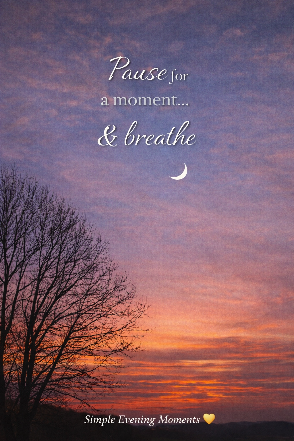 Chasing Sunsets, Moons & Stars: Finding Peace in Everyday Moments Chasing Sunsets Moons Stars Finding 1579291394