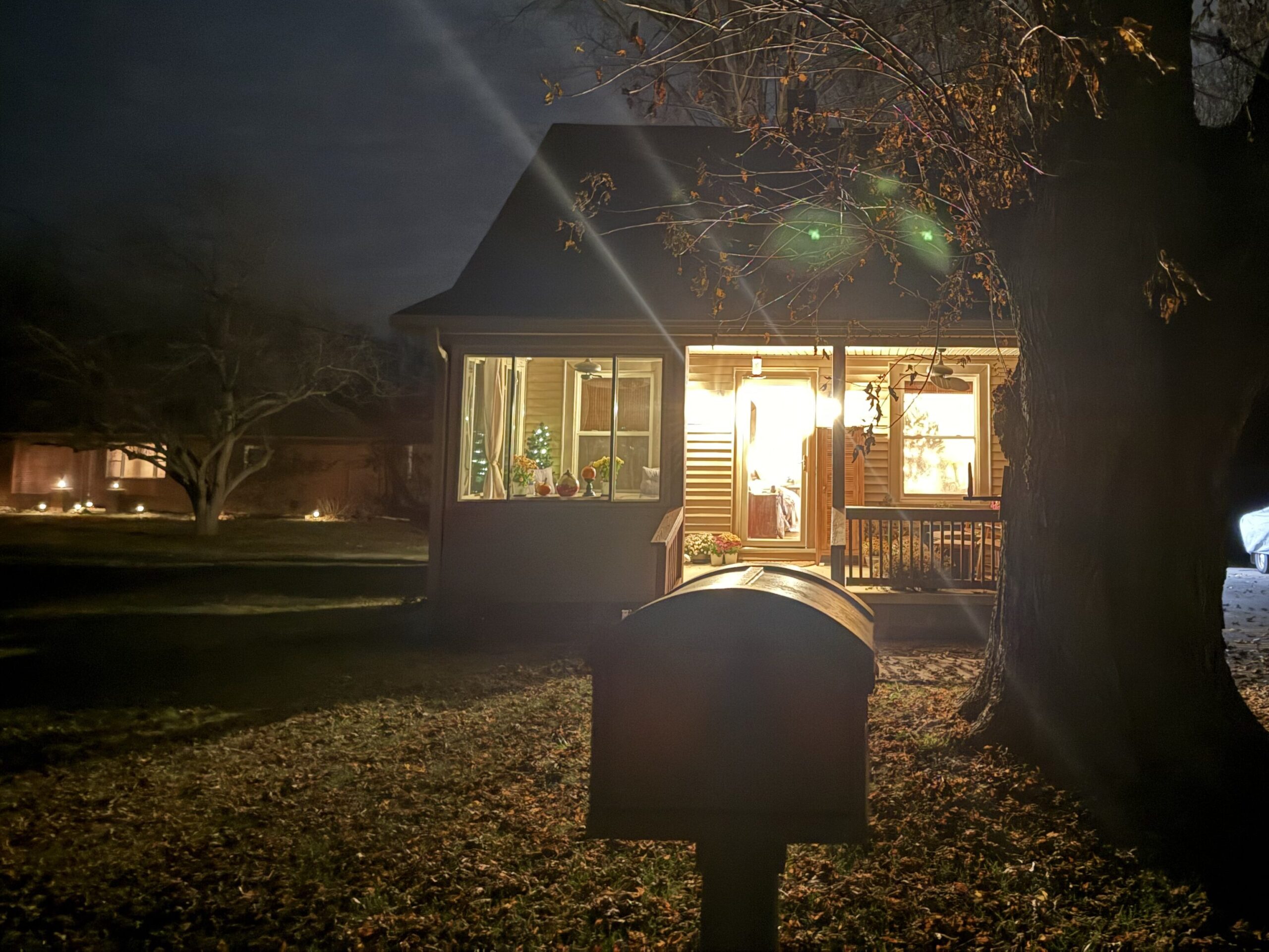 Flying Squirrels & Owl Spotted From My Front Porch ππΏοΈπ¦ img 4183
