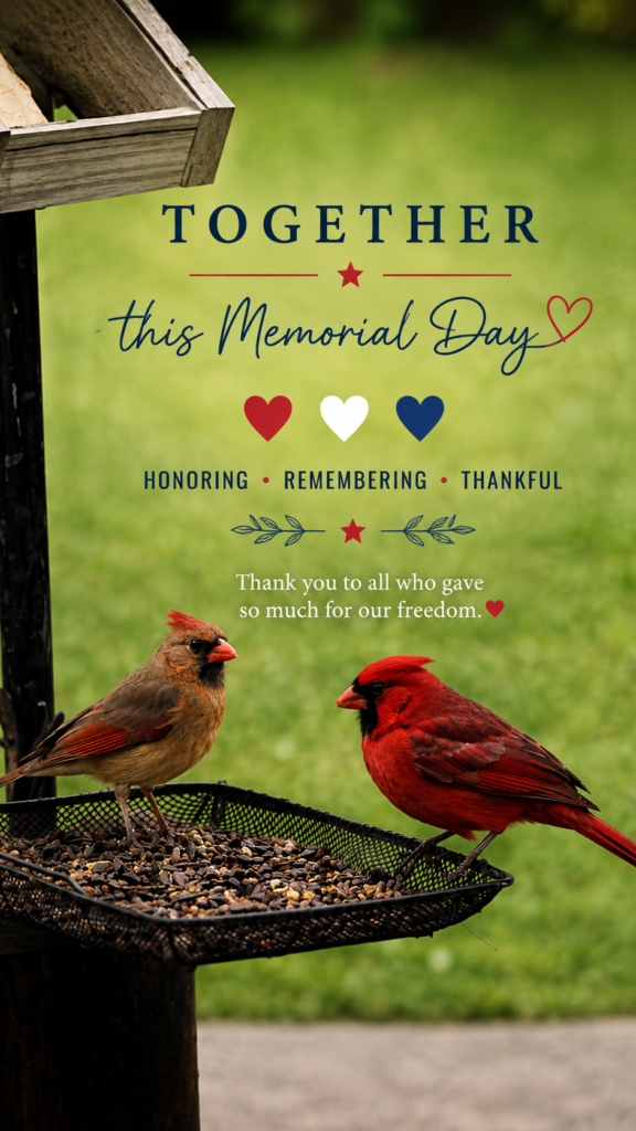 Memorial Day Moments β€οΈπ€π memorial day #2