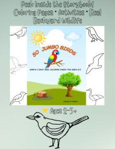 Coloring Books for Every Age | Designs By Friends Preview of the 50 Jumbo Birds Coloring Book featuring the front cover and a sample large-print bird coloring page designed for toddlers and preschool children ages 2β5+.