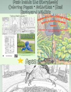Coloring Books for Every Age | Designs By Friends Preview of the Feathered & Furry Cottage Friends Activity & Coloring Storybook featuring the front cover, inside coloring pages, activities, and real backyard wildlife illustrations for ages 2β95+.