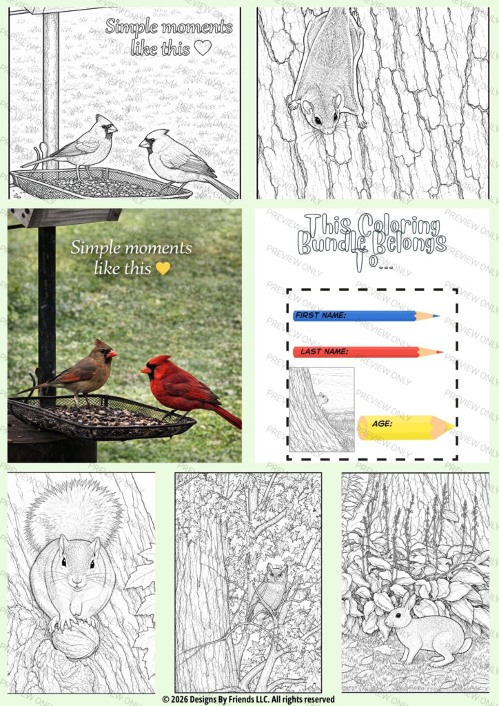 Feathered & Furry Cottage Friends Volume 1 Printable Bundle #3 back-cover collage showing sample coloring pages.